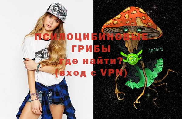 тгк Арсеньев